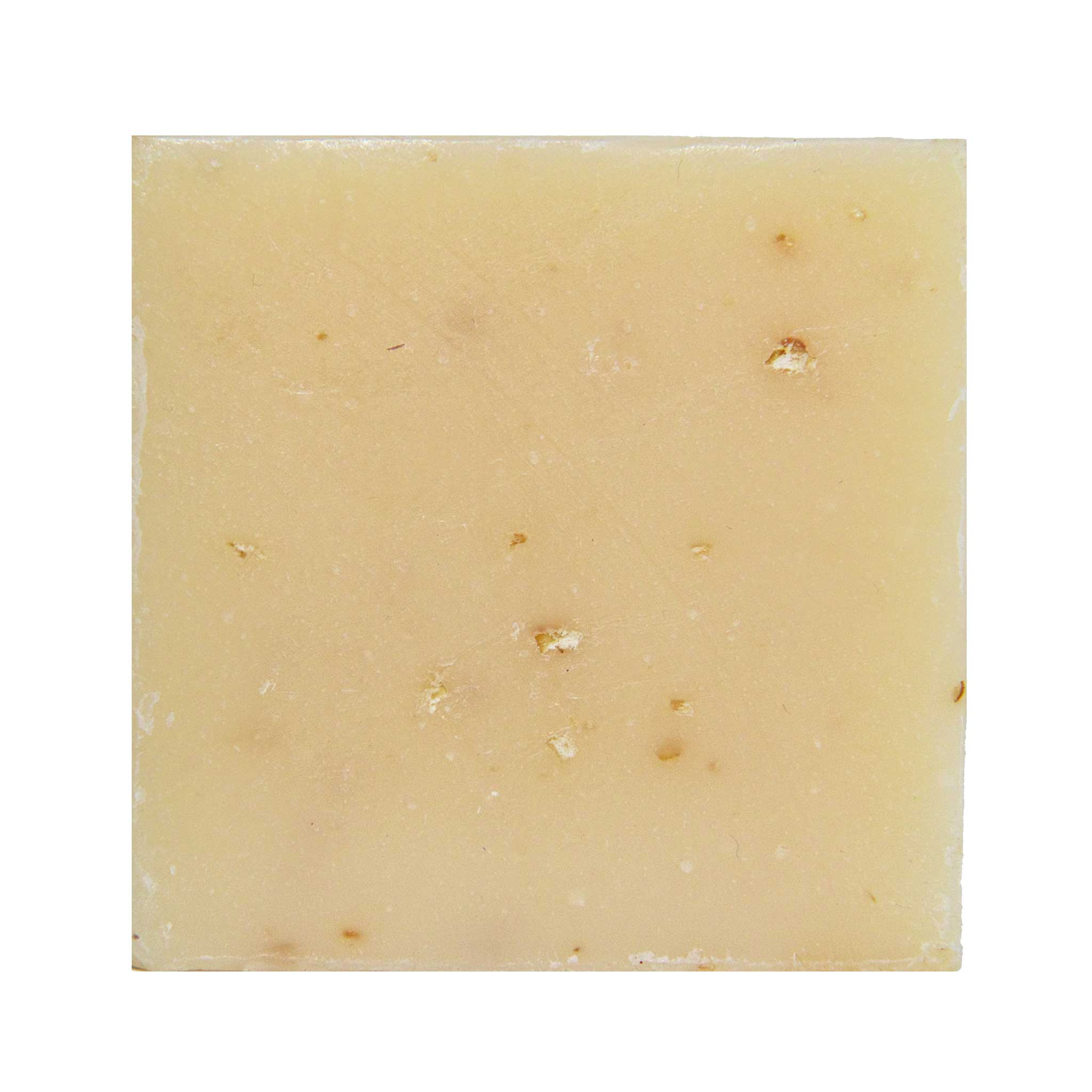 Dr. Squatch - Deep Sea Goat's Milk Soap Bar